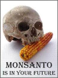 Monsanto Continues Its Pattern of Sowing Destruction: Agent Orange, GMOs, Glyphosate, PCBs