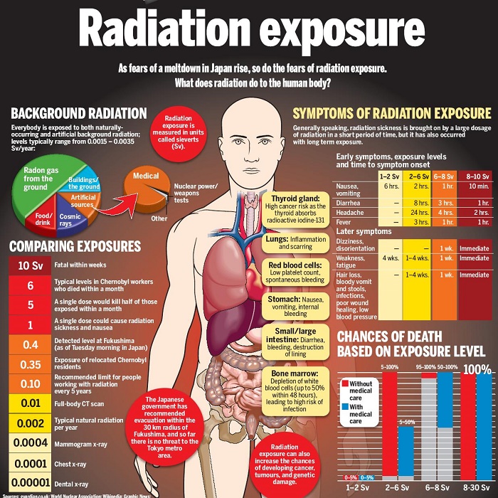 Every Organ is Vulnerable to Nuclear Radiation.  There is No Safe Dose.  Authorities Refuse to Confront Issue While Fukushima Contaminates the Planet