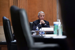 Believe Your Own Eyes About Fauci E-Mails, Not the Fact Checkers